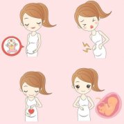 孕妇为何要定期做产前检查 产前检查有哪些项目